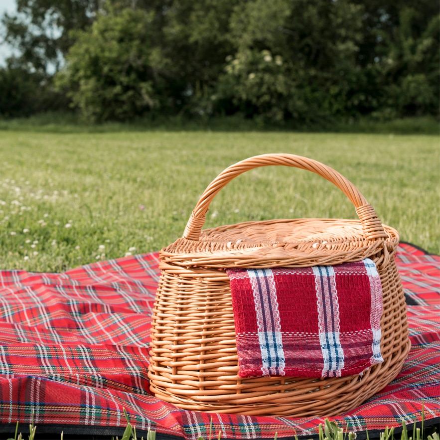 Picnic 883x883 Picnic 883x883